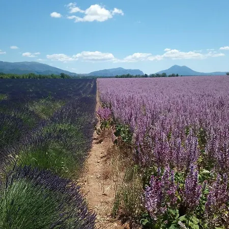 Apartament Maison Du Portail