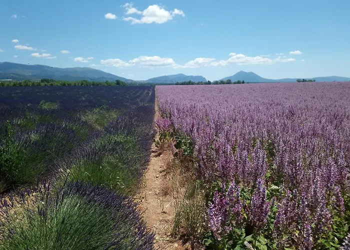 Apartamento Maison Du Portail